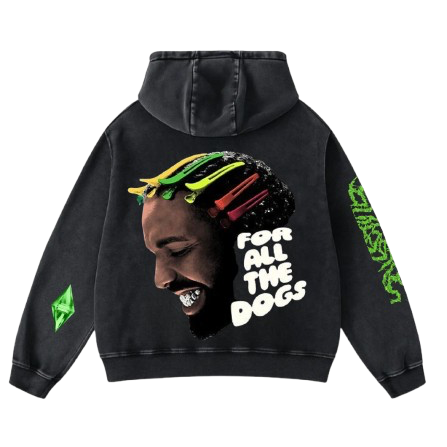 Drake inspired For All The Dogs Graphic Hoodie